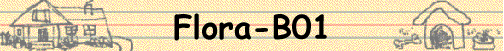 Flora-B01