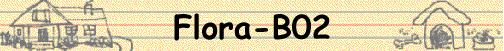 Flora-B02