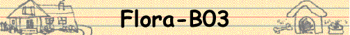 Flora-B03