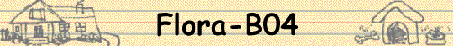 Flora-B04