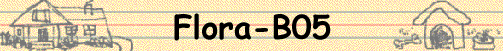 Flora-B05