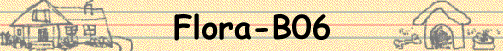 Flora-B06