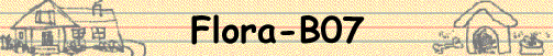 Flora-B07
