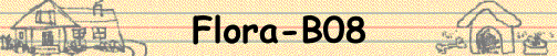 Flora-B08