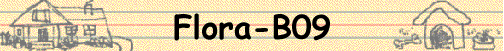 Flora-B09