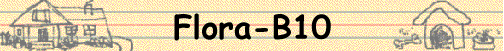 Flora-B10