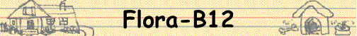Flora-B12