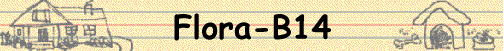 Flora-B14