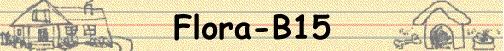 Flora-B15