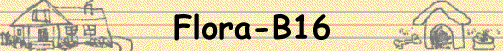 Flora-B16